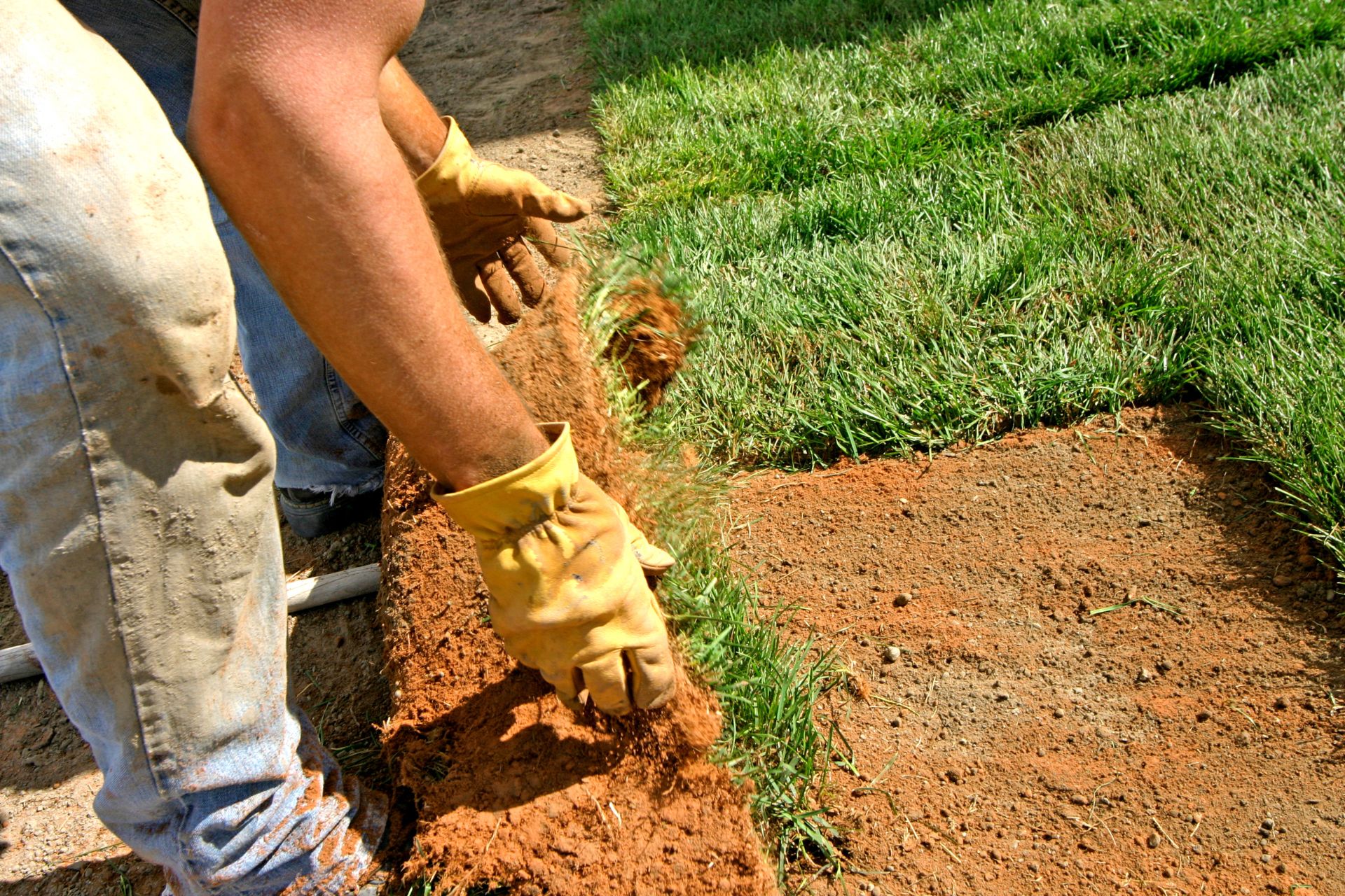 A technician installing sods.