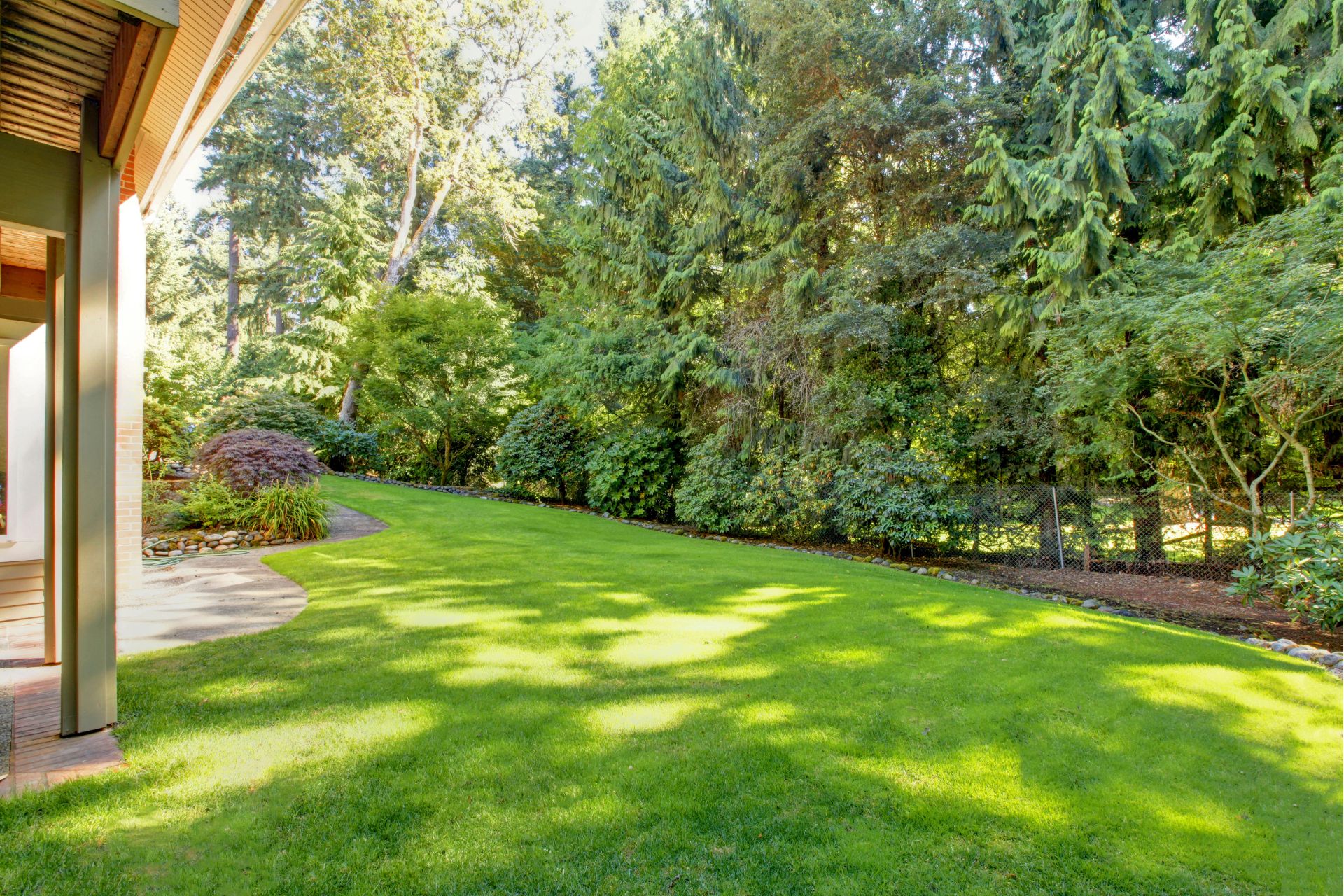 backyard with sod installed