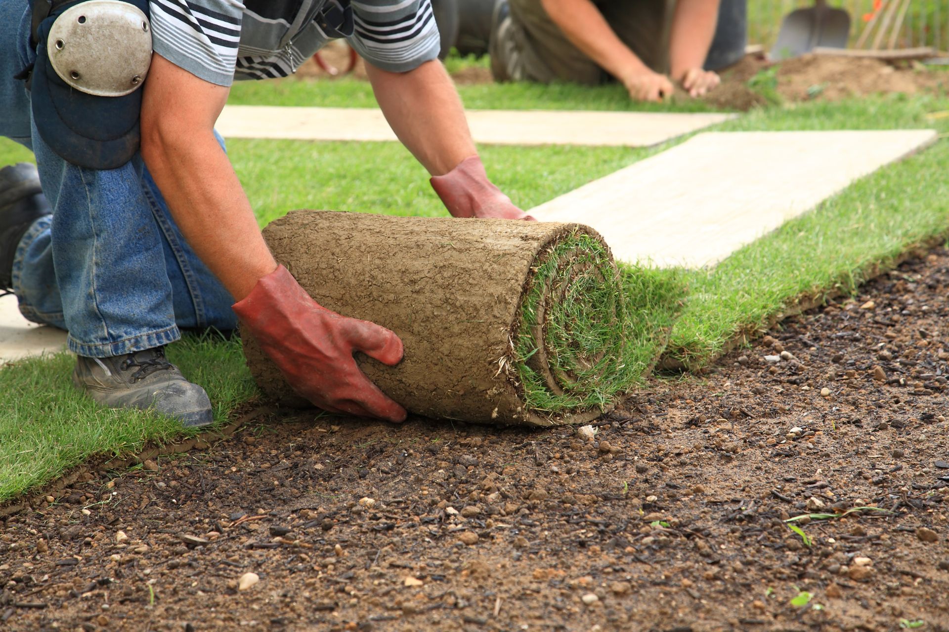 frontyard sod installation