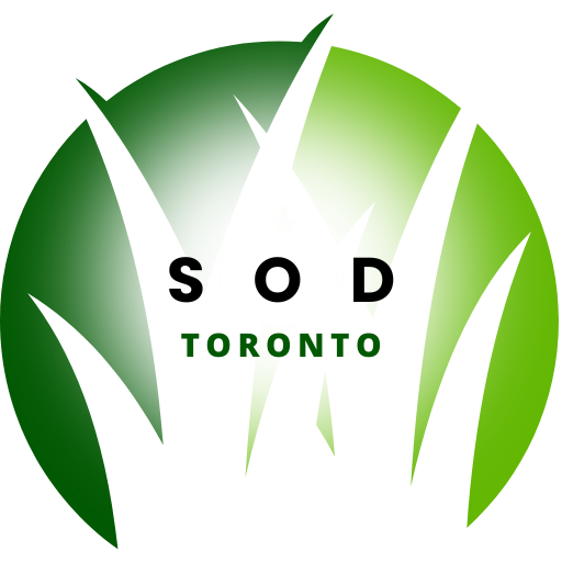 Sod Installation Toronto