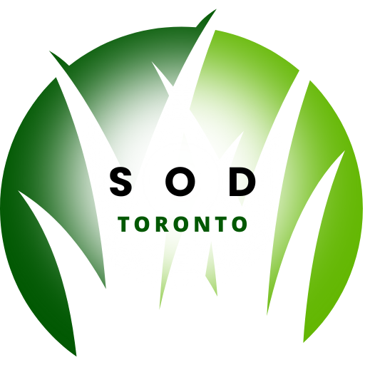 Sod Installation Toronto